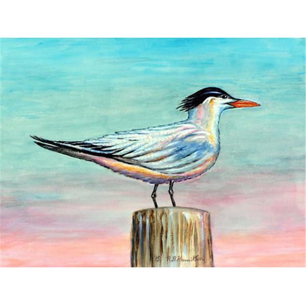 Betsy Drake Royal Tern 18 x 26 DM951 - main